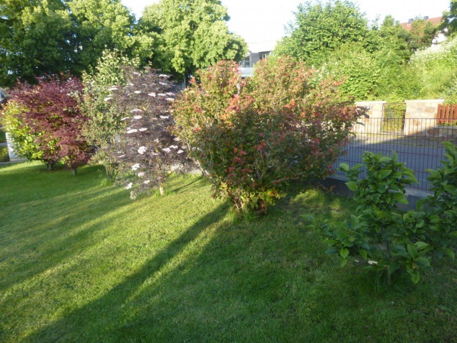 Impression Sommer 3 Einfamilienhaus Wettenberg / Krofdorf-Gleiberg