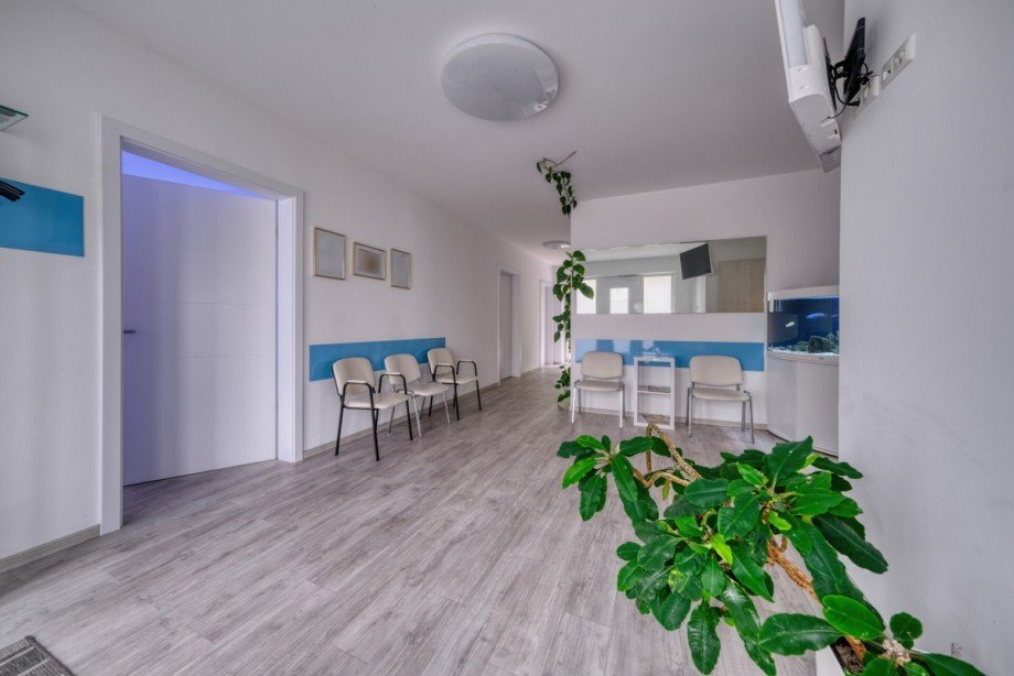 Praxis_Eingangsbereich Haus Wetzlar